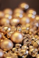 christmas-4704072_1920.jpg