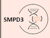 Polymorphisms of the sphingomyelinase gene affect the risk of depression and alcoholism